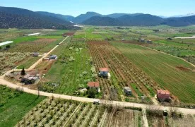Productive Field te koop in Antalya Korkuteli Yazır